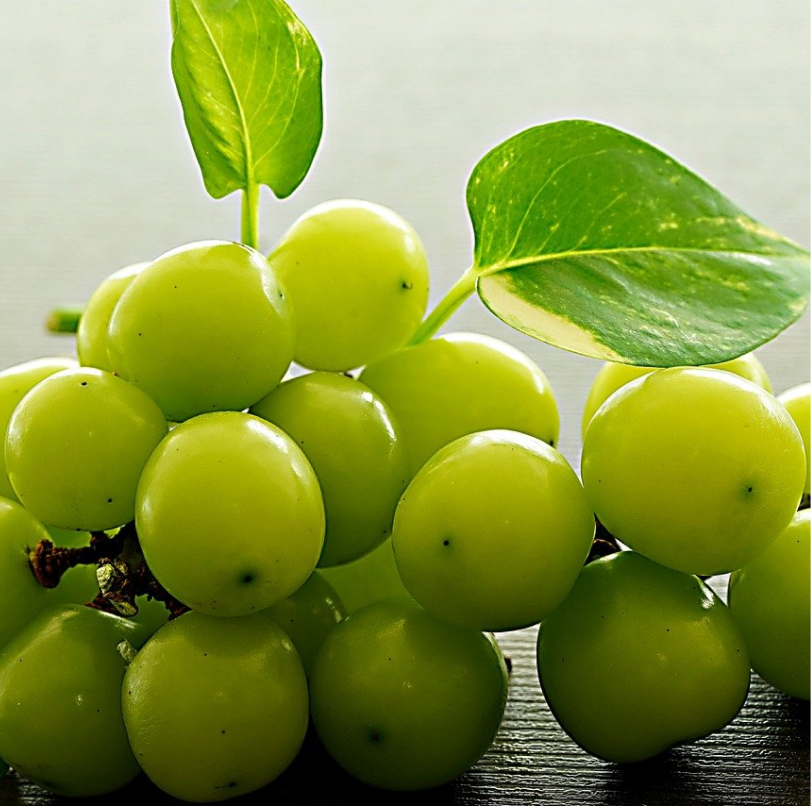 Nho Xanh