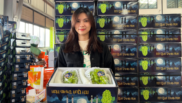 Bao Bì Của Dòng Sản Phẩm Moon Bright