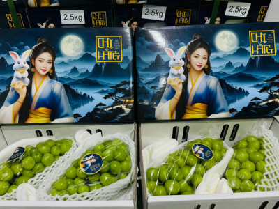 Bao Bì Của Dòng Sản Phẩm Moon Bright