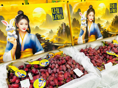 Bao Bì Của Dòng Sản Phẩm Sun Bright