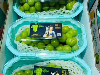 Bao Bì Của Dòng Sản Phẩm Moon Bright