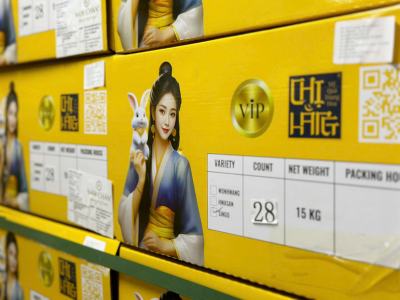 Bao Bì Của Dòng Sản Phẩm Sun Bright