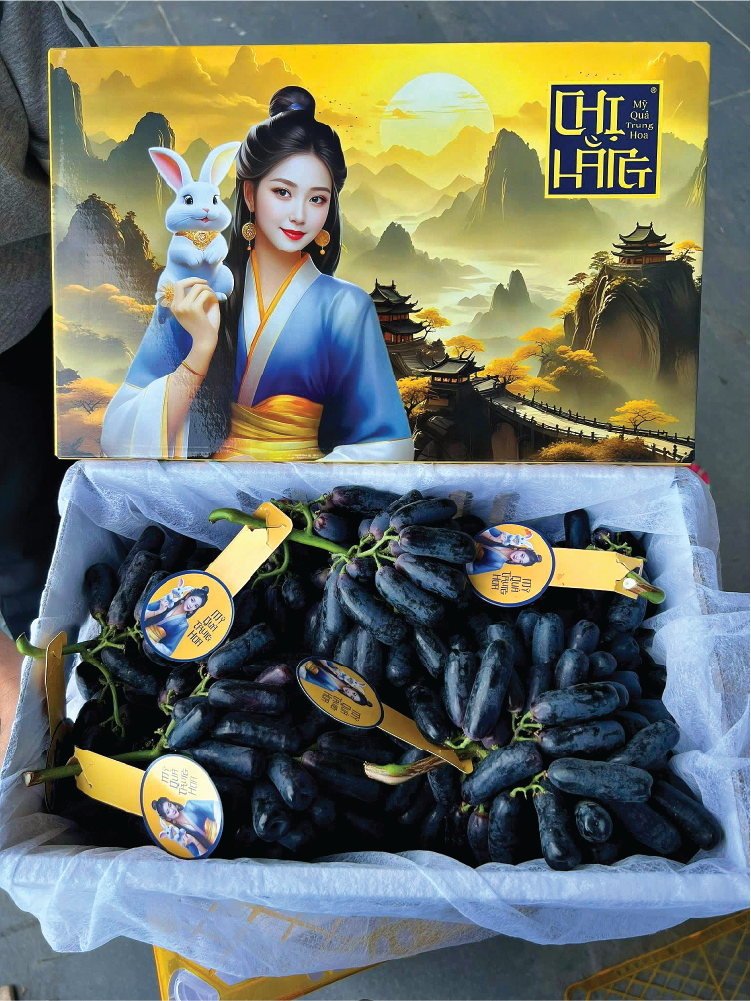 Nho Ngón Tay Sweet Sapphire