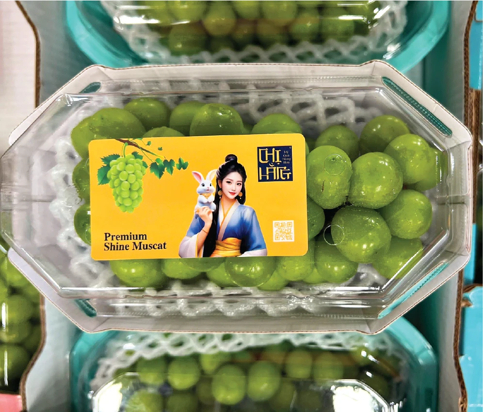 Nho Mẫu Đơn Shine Muscat 