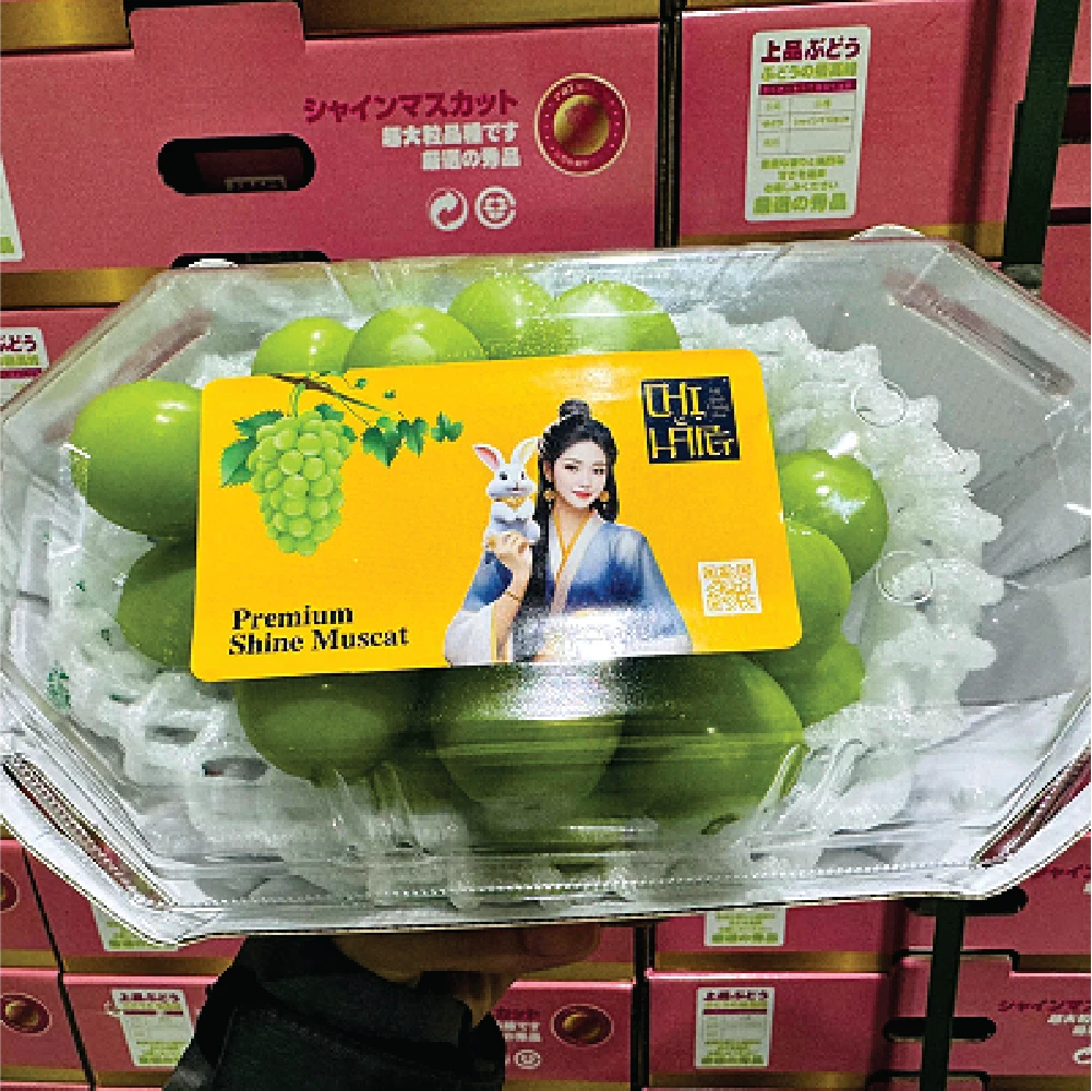 Nho Mẫu Đơn Shine Muscat 