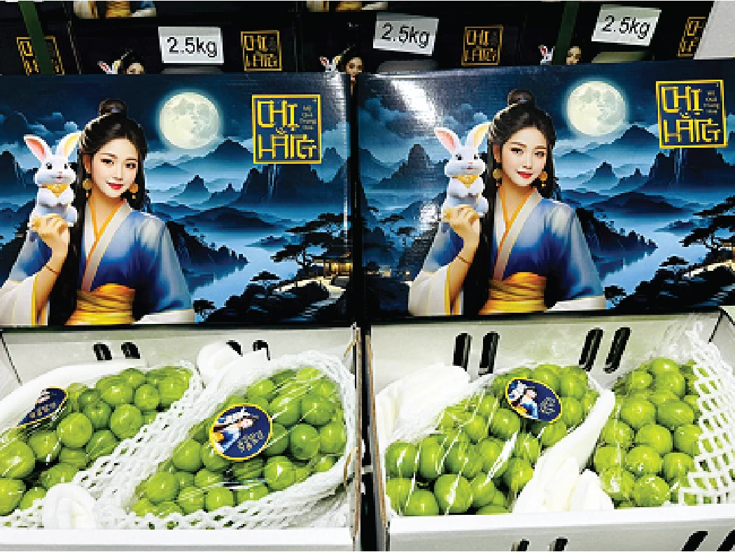 Nho Mẫu Đơn Shine Muscat 