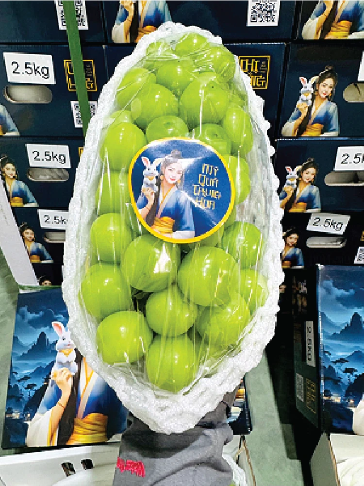Nho Mẫu Đơn Shine Muscat 
