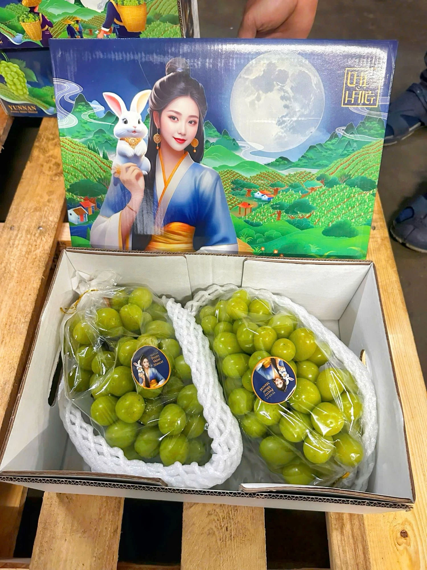 Nho Mẫu Đơn Shine Muscat 