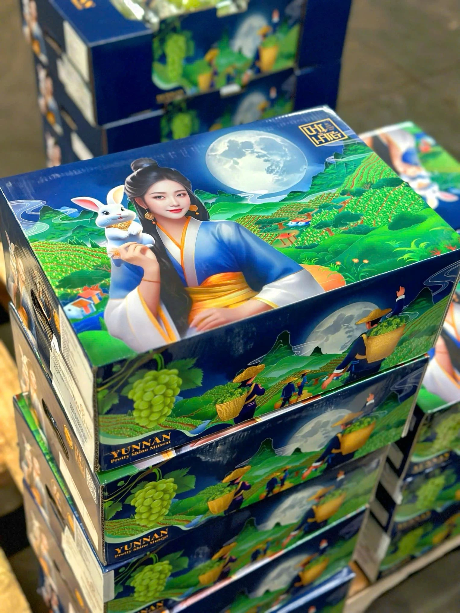 Nho Mẫu Đơn Shine Muscat 