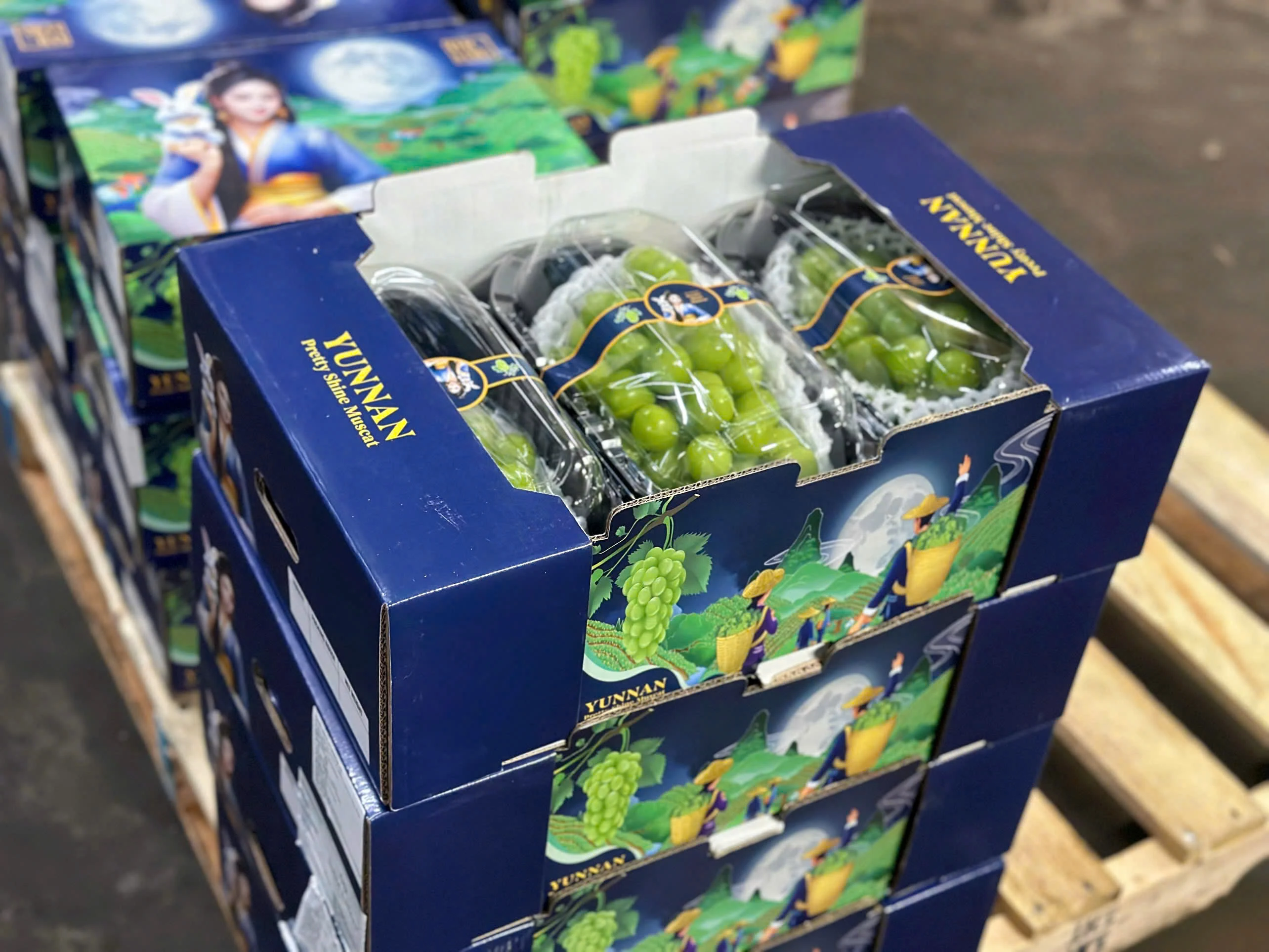 Nho Mẫu Đơn Shine Muscat 