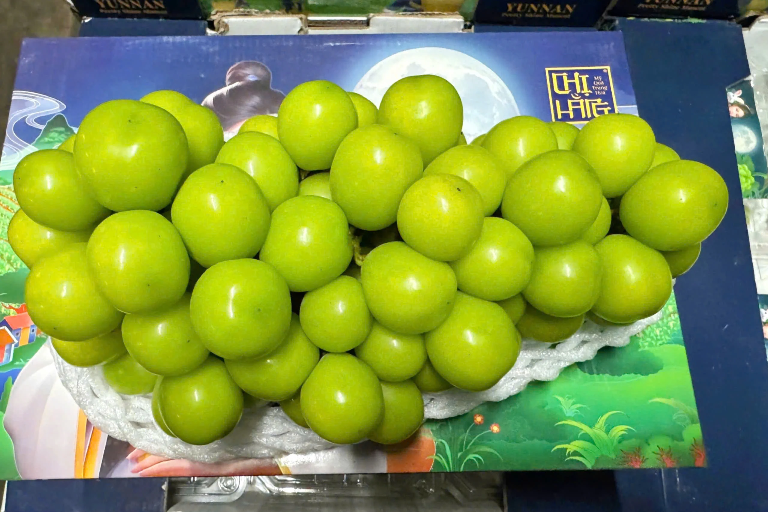 Nho Mẫu Đơn Shine Muscat 