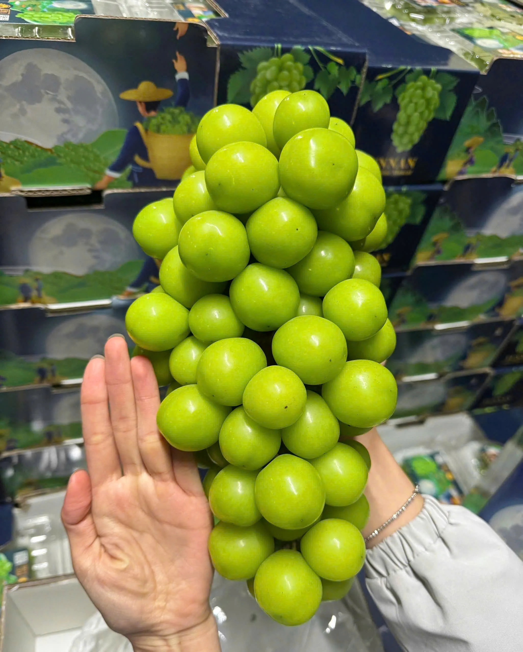 Nho Mẫu Đơn Shine Muscat 
