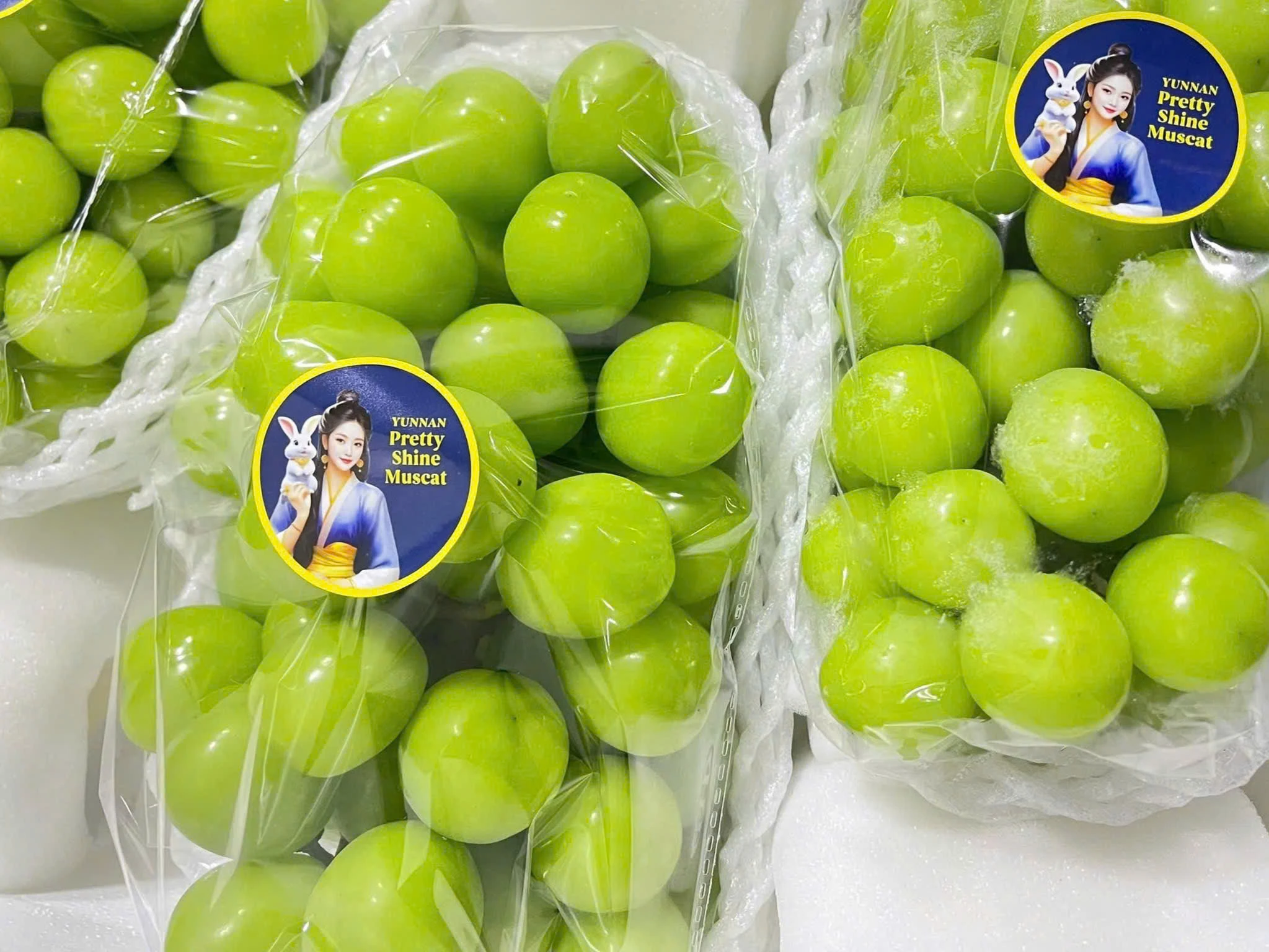 Nho Mẫu Đơn Shine Muscat 