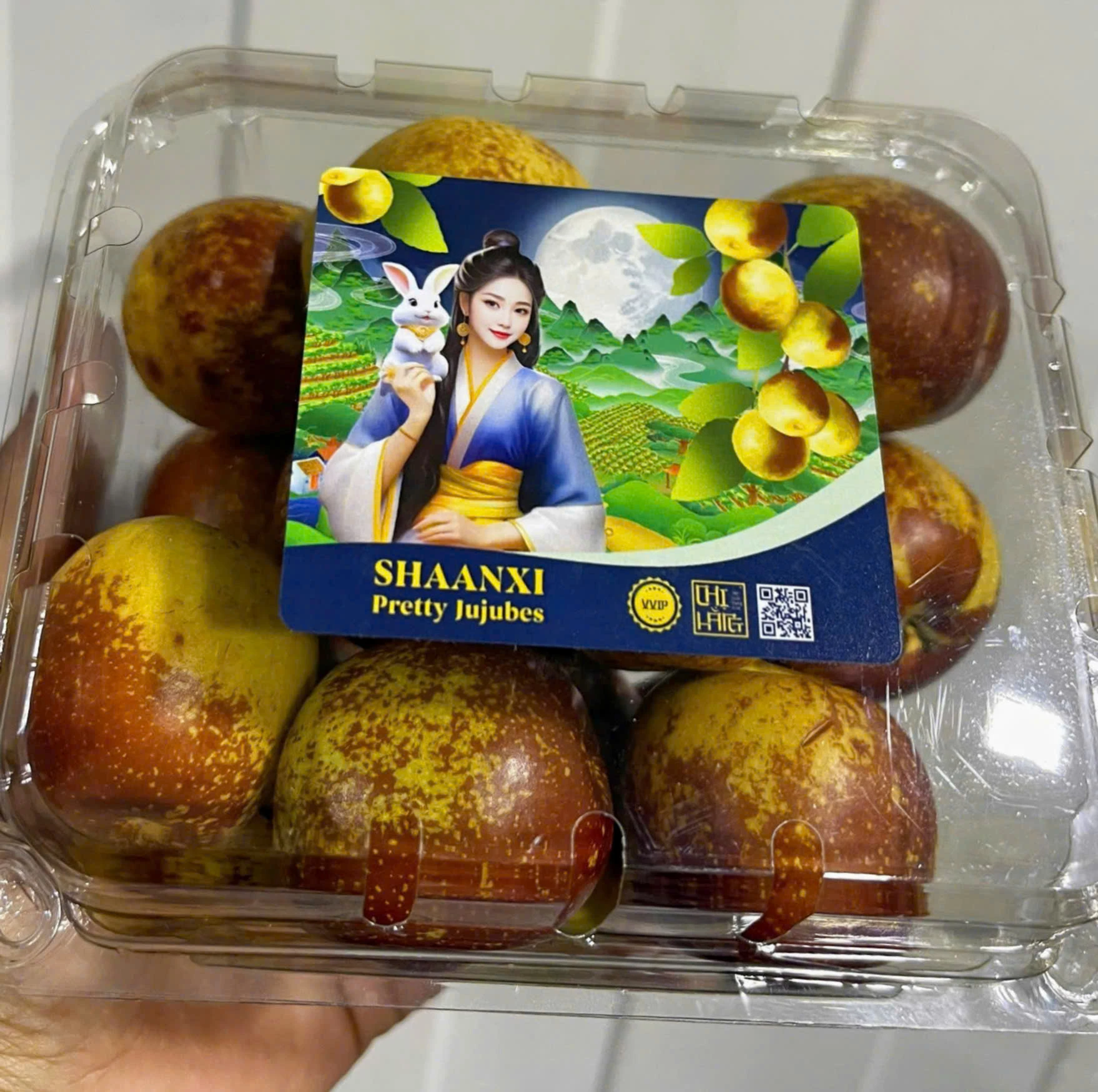 Táo Tàu