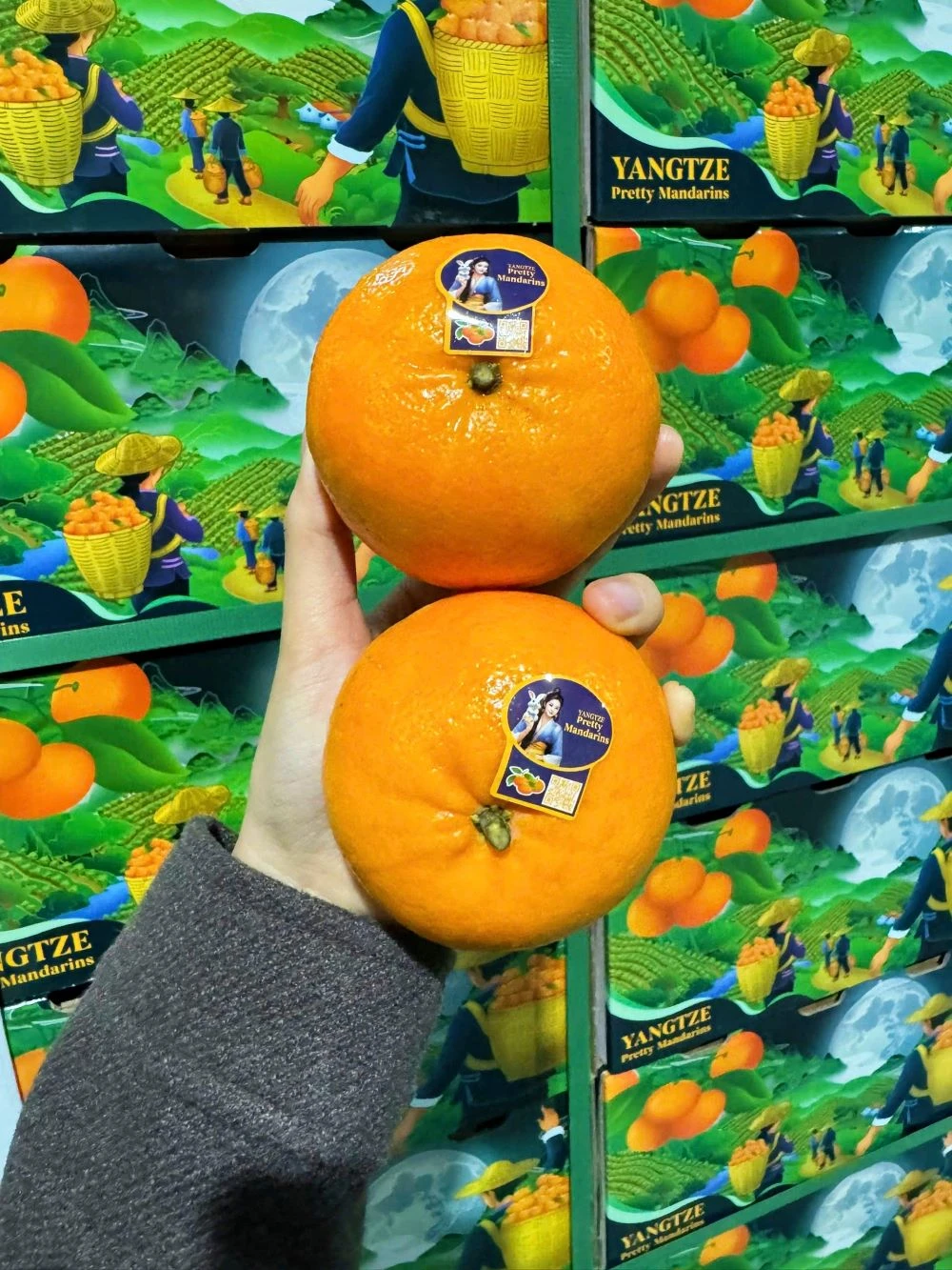 Quýt