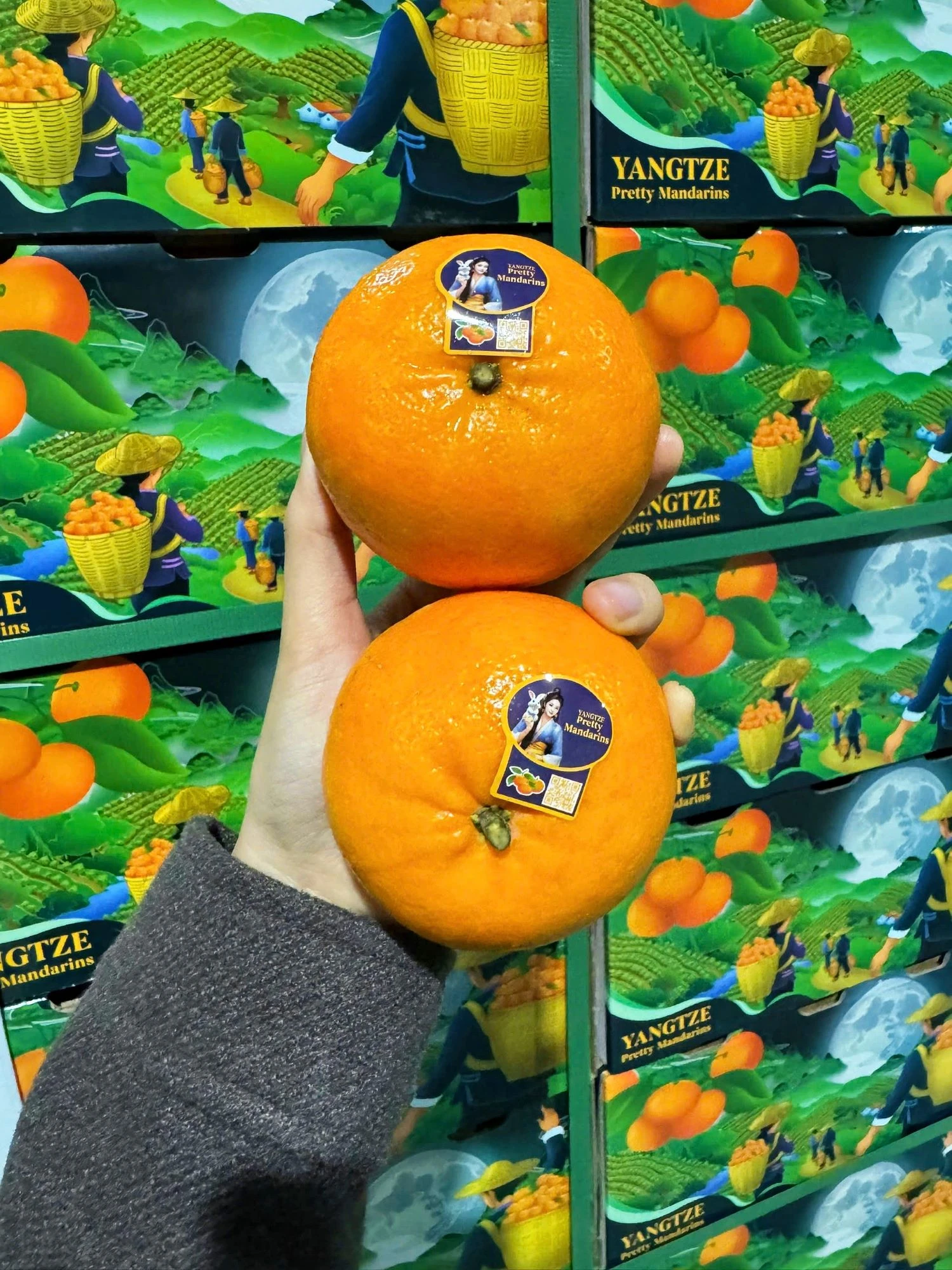 Quýt