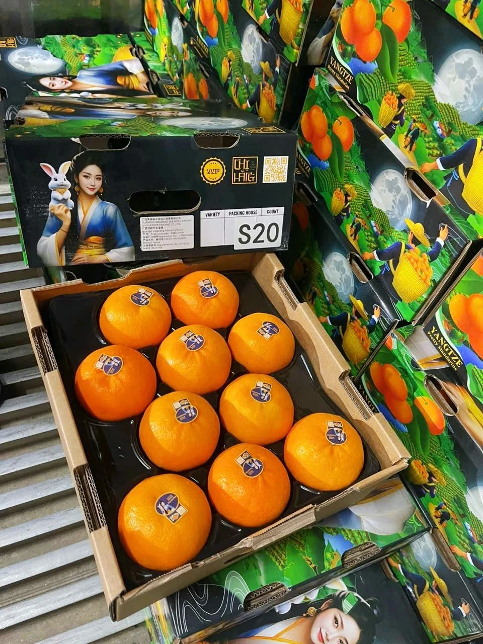 Quýt
