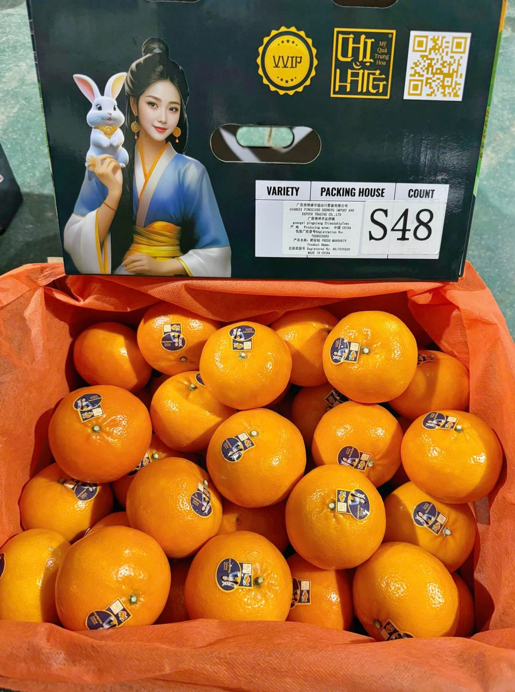 Quýt